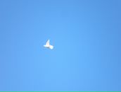 Фотография Garan Vita