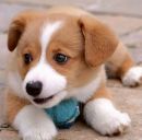 Настюша Федінчик фотография #26 (источник - https://vk.com/id148249538)