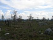 Иван Паньков фотография #29 (источник - https://vk.com/id746503)