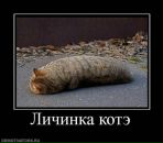 Фотография Кайдаловой Юлии