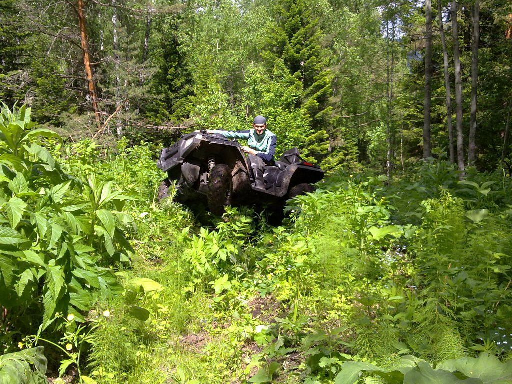 Павел Степанов фотография #26