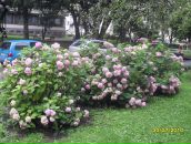 Юрій Сорбат фотография #23 (источник - https://vk.com/id8838108)