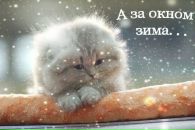 Діаночка Талько фотография #20 (источник - https://vk.com/id133844118)