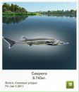Николай Полозун фотография #8 (источник - https://vk.com/id135139321)