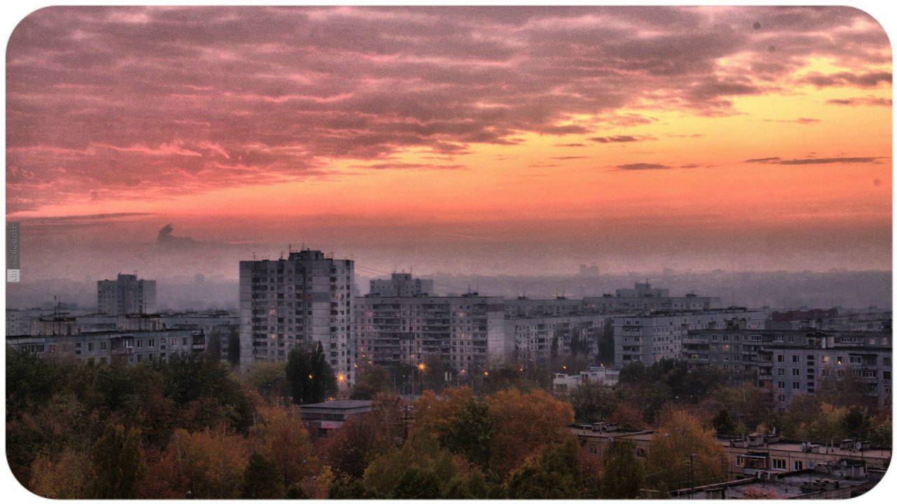 Дмитрий Башкатов фотография #34