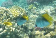 Фотография Х Натали