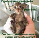 Фотография Фефилова Дмитрия