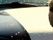 Мартін Сееро фотография #15 (источник - https://vk.com/id142066803)