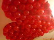 Фотография Кузевановой Марины