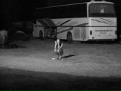 Андрій Ткач фотография #39 (источник - https://vk.com/id5782782)