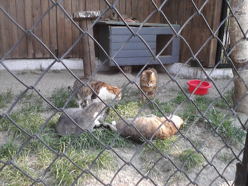 Дмитрий Иост фотография #34