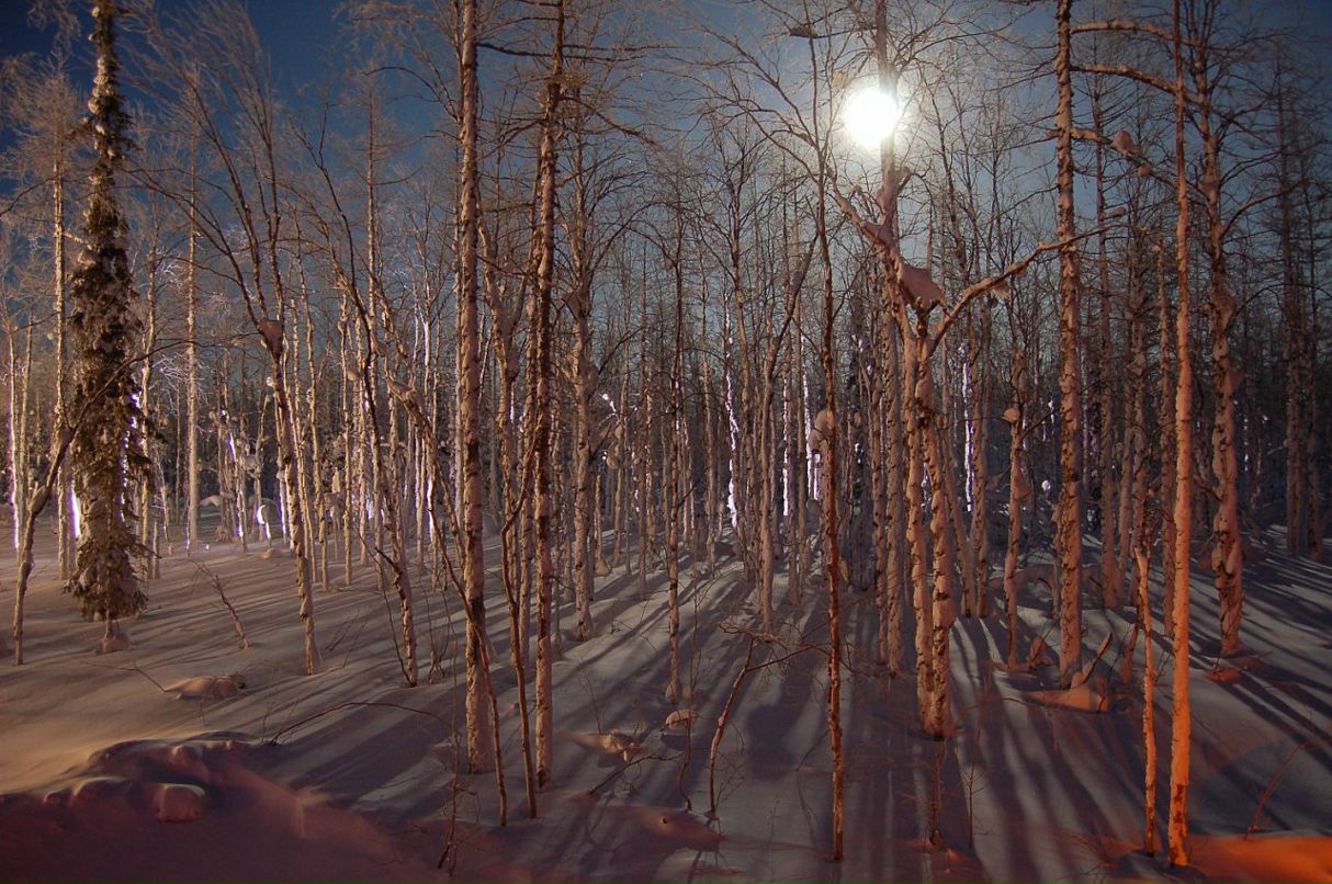 Сергей Розе фотография #39