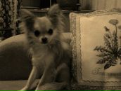 Фотография Бугеры Светы