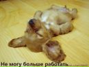 Фотография Жиловой Светланы