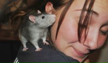 Євгенія Момот фотография #43 (источник - https://vk.com/id13277362)