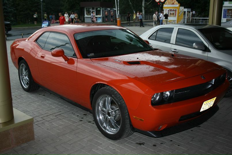 Добрый Ёжик фотография #18