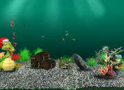 Роман Скікун фотография #50 (источник - https://vk.com/id77803114)