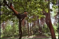 Дарья Козел фотография #32 (источник - https://vk.com/id517013)