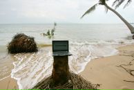 Фотография Кабанова Катя